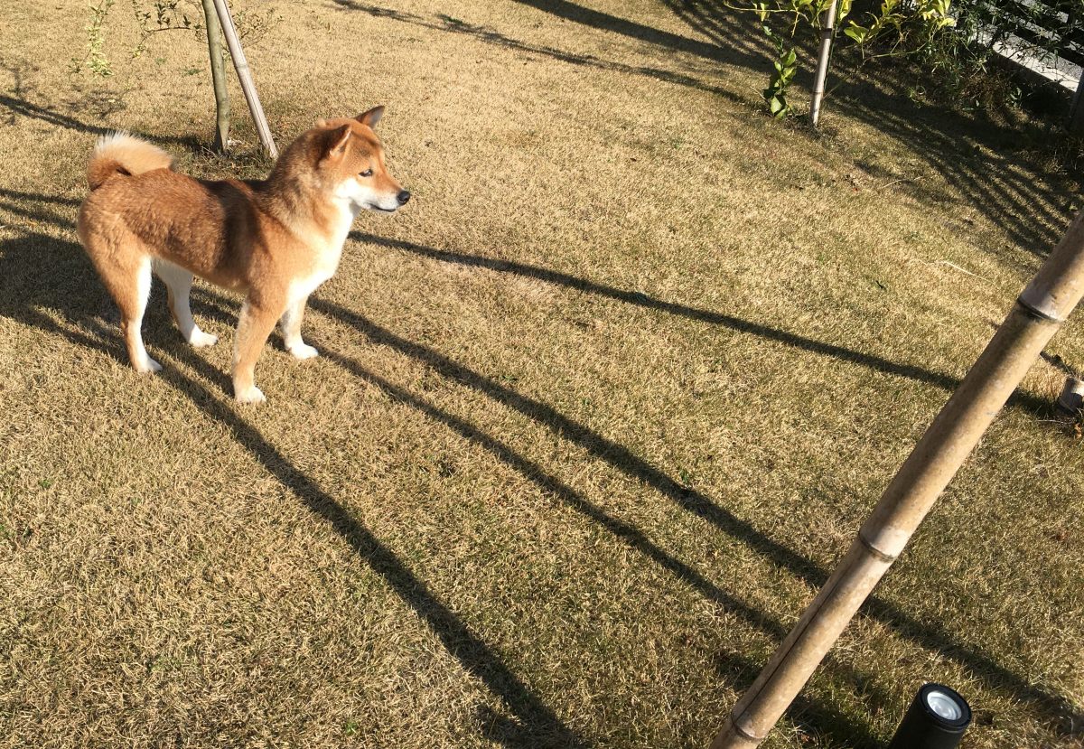 一人の社員が会社を潰すこともある